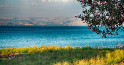 Rannalta kuvattu järvi.
