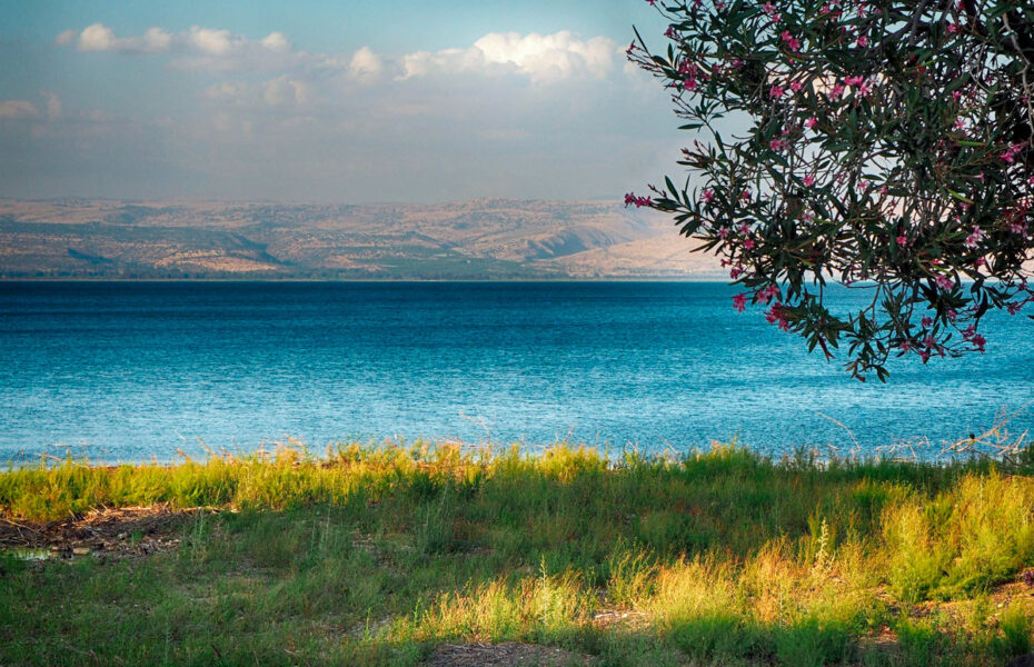 Rannalta kuvattu järvi.