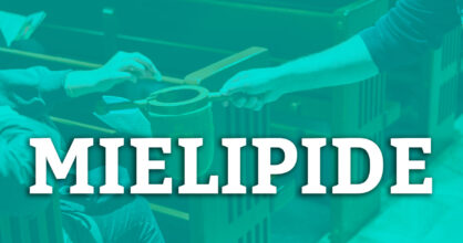 Kolehtihaavi ja päällä teksti "mielipide".