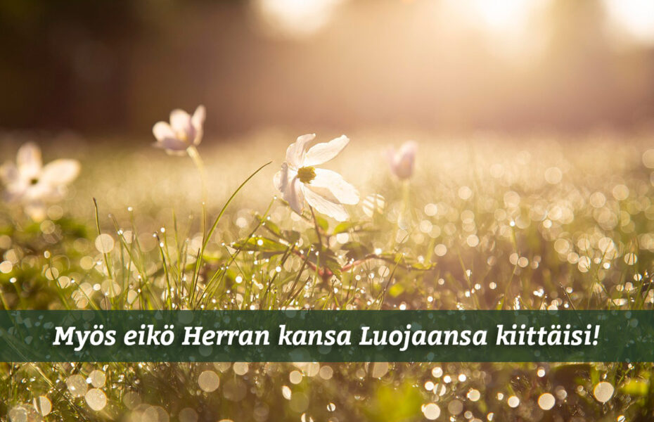 Kukkapelto ja Suvivirren sanat.