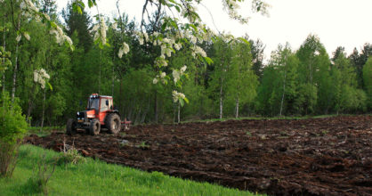 Traktori kyntää peltoa. Tuomi kukkii.
